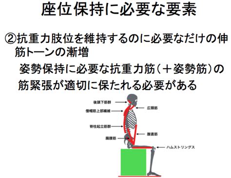 坐位|座位保持に必要な筋力やバランス能力 